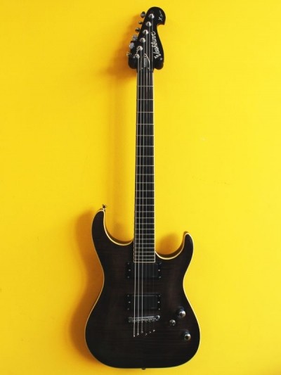 Washburn X50 PROFE